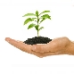Pakiet START-UP